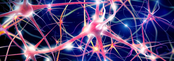Chiropractic Lincolnton NC Clear Mind Nero Feedback Chiropractic Lincolnton NC Clear Mind Nero Feedback